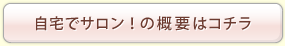 自宅でサロン！の概要